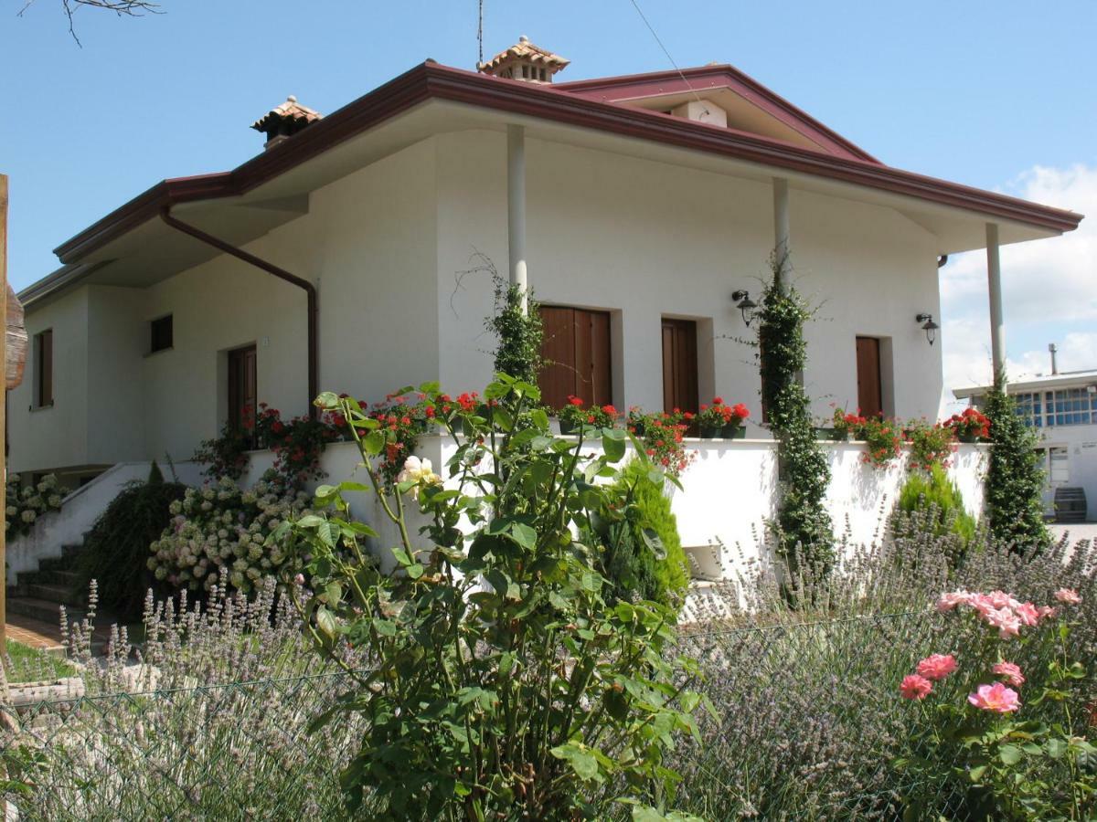 Agriturismo Ballaminut Terzo d' Aquileia Luaran gambar
