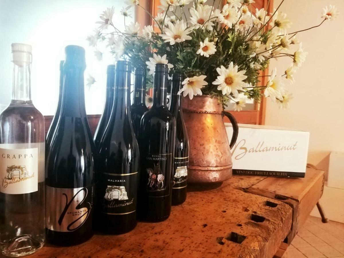Agriturismo Ballaminut Terzo d' Aquileia Luaran gambar