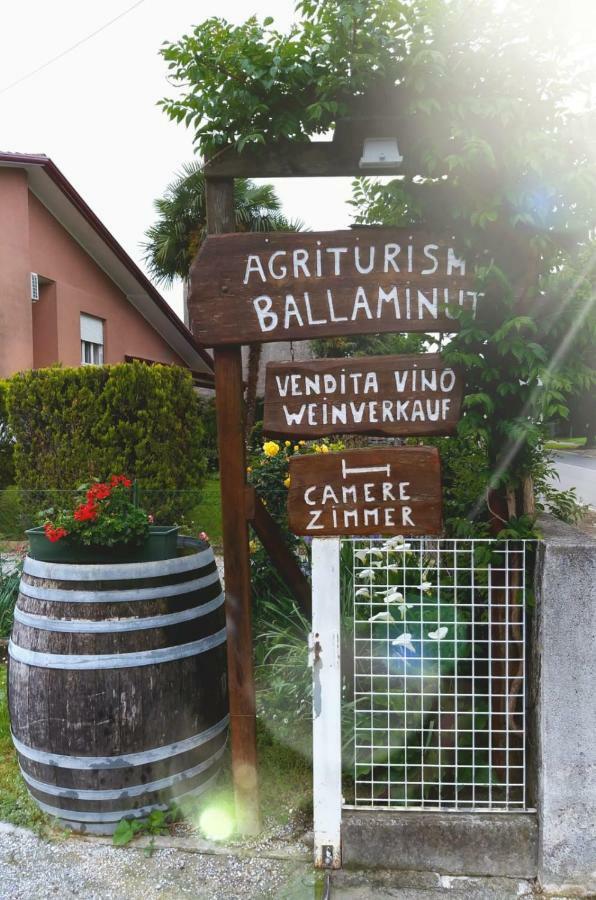 Agriturismo Ballaminut Terzo d' Aquileia Luaran gambar